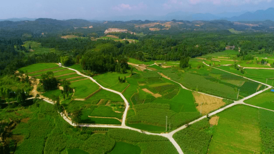 文成县南田镇三源村妙垄头"旱改水"耕地质量提升项目耕地质量和数量是