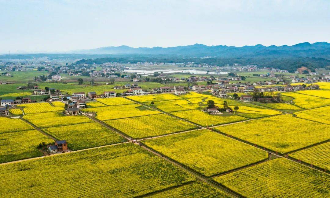 非凡十年 · 听见湖南| 山乡巨变新益阳_奥士_发展_制造