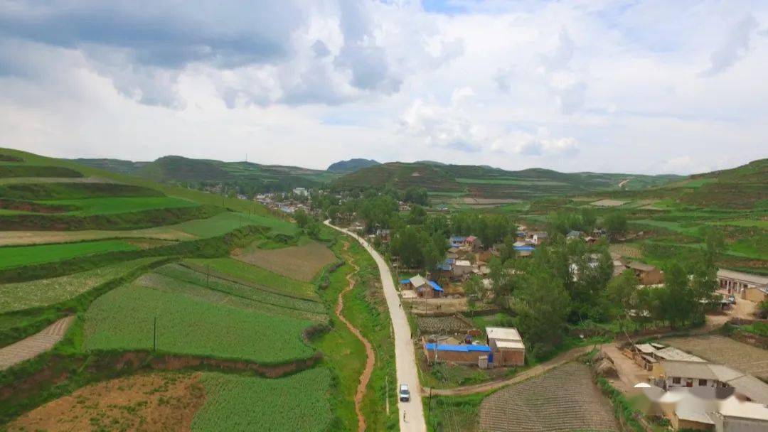 岷县蒲麻镇:"有机"当头 推动乡村振兴绿色发展_种植_肖想平_郝明菊