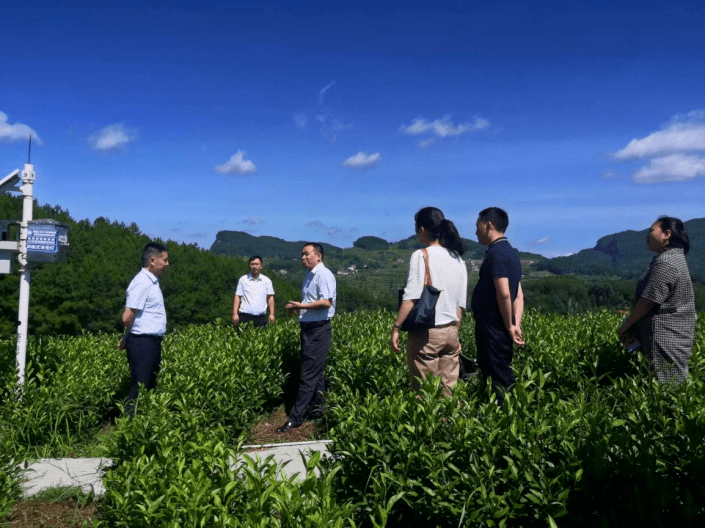 思南县鹦鹉溪镇图片