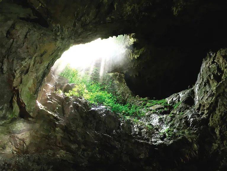 【“一村一品”看黔江】阿蓬江镇太平洞：天然洞穴空调风 避暑纳凉好去处