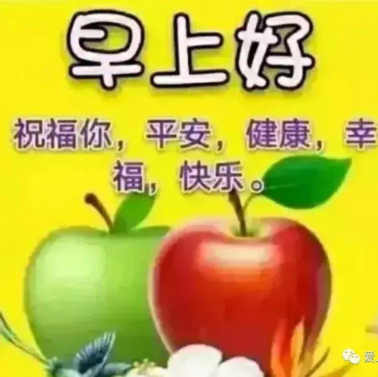 每天问候虽短，亲情友情满满！_平安_安好_春夏秋冬