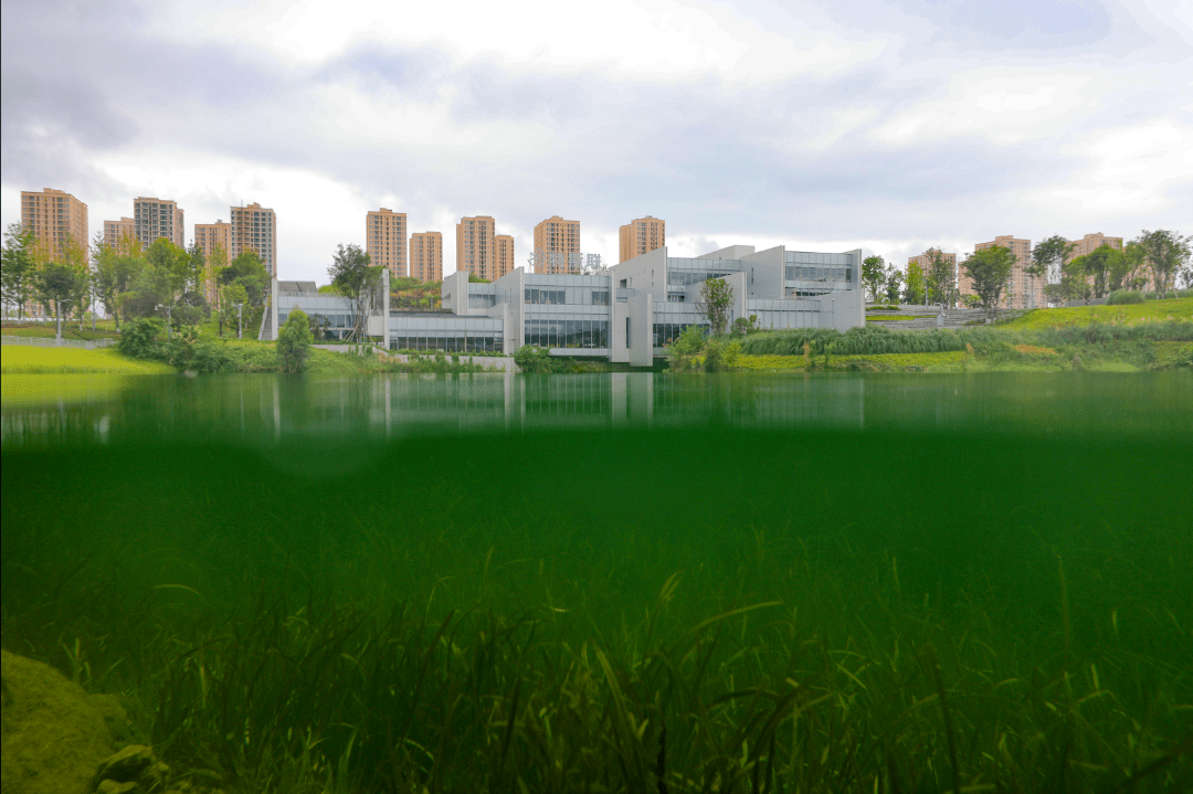 科学城回音壁 | 67凤鸣湖公园在什么位置?导航来啦_重庆_内容_场所
