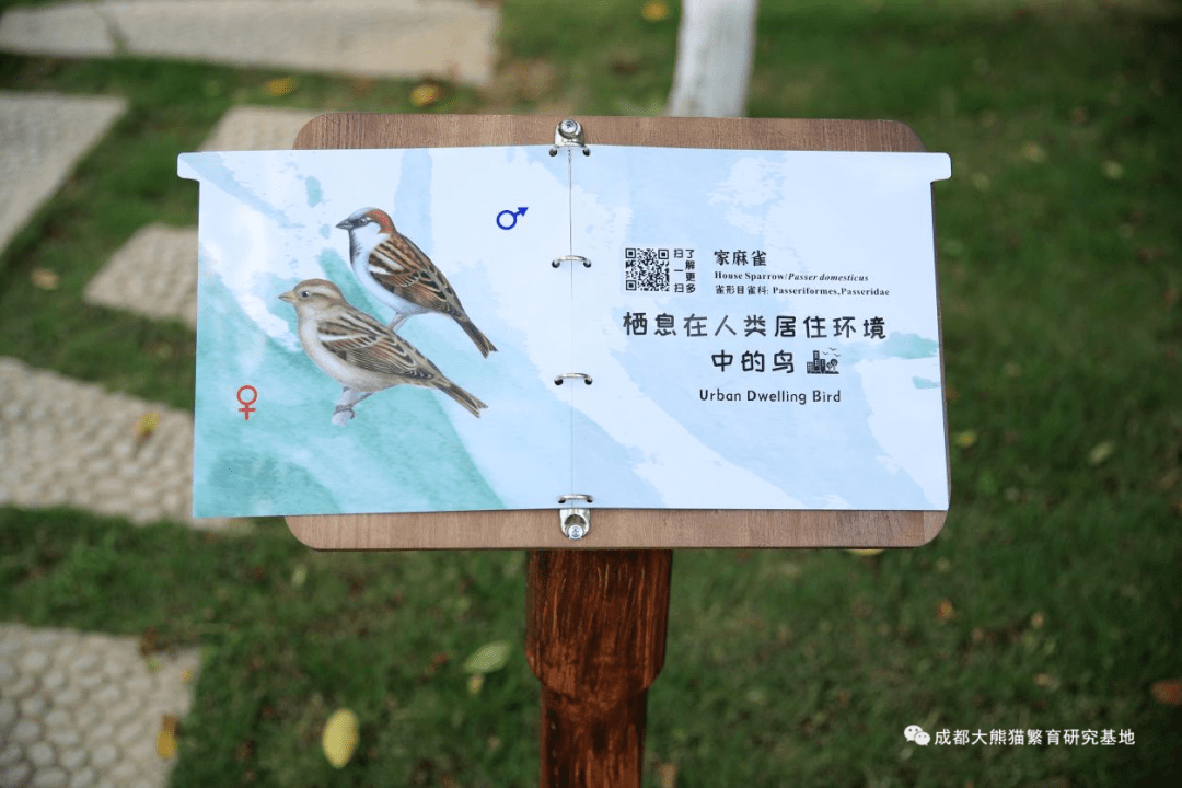 鸟类科普展示花样多公众观鸟爱鸟兴趣浓