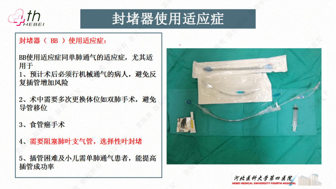 支气管封堵器图片图片