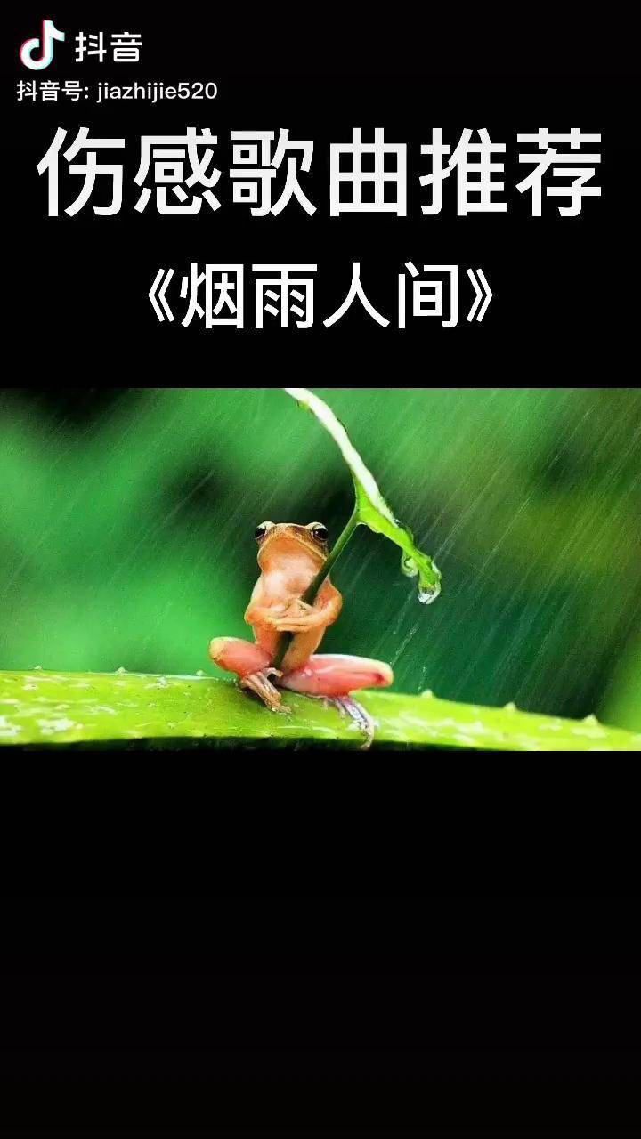 依山傍漓江忘却人间烟雨原创烟雨人间音乐伤感歌曲推荐dou小助手热门