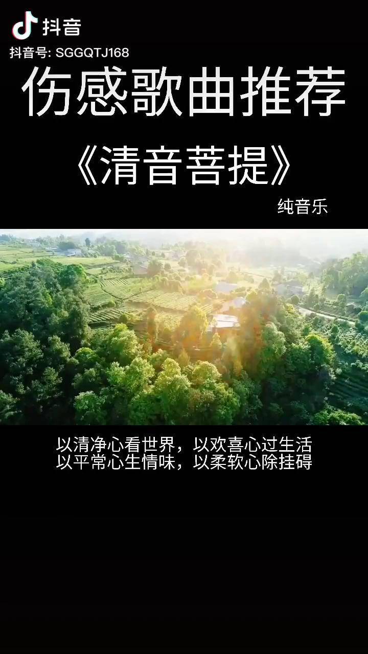 你们要的清音菩提加长版来了浸润心灵的音乐聆听一首禅音获一份宁静纯