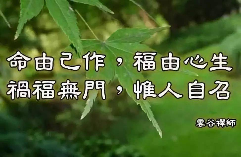 意思是种下的善业种子因缘成熟后,现出好的善果.