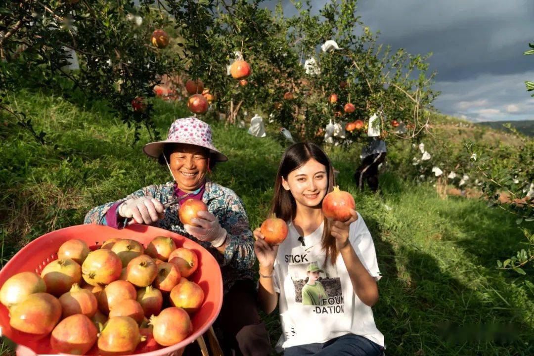 会理榜样 │ 开拓创新榜样何爽:不当空姐回家当"农民"_销售_直播_石榴