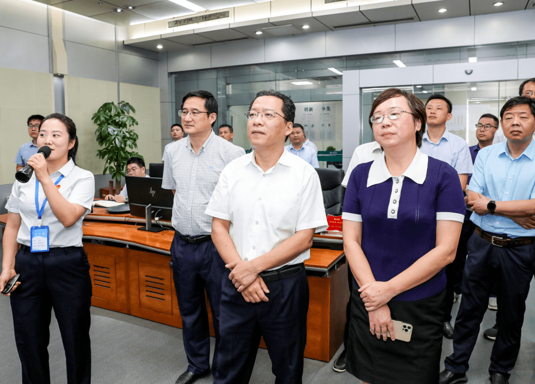 8月13日上午,市委书记丁纯前往铜陵供电公司,六国化工公司,郊区和普农
