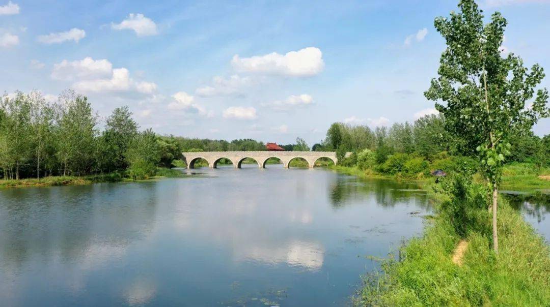 大美涡阳_繁华大道_刘仓_三桥