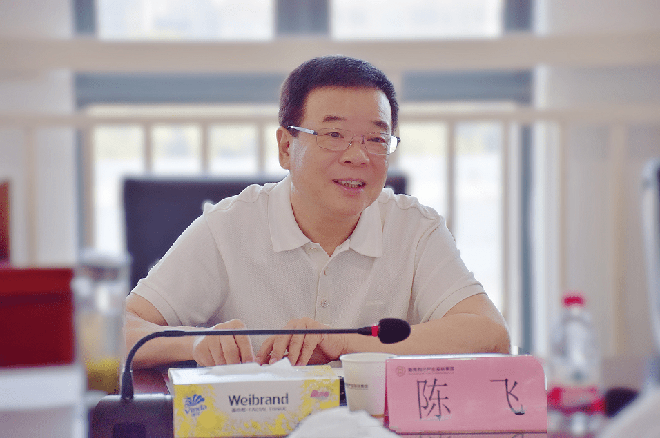 副省长陈飞调研湖南有色产业投资集团_新发展_企业_建设