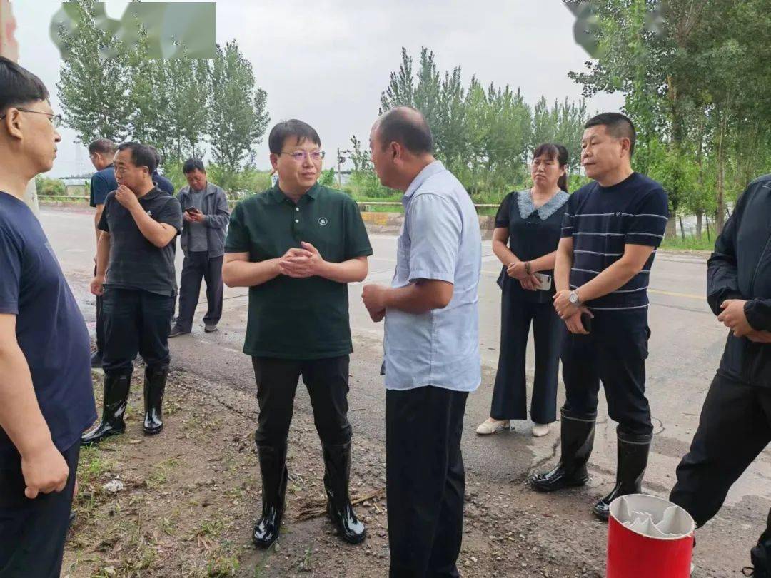 巨鹿县西大韩韩印平图片