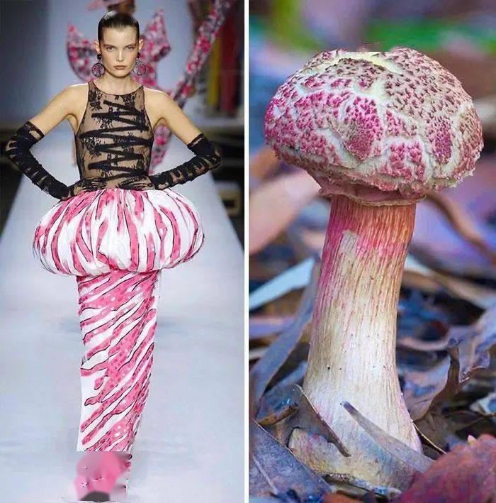 她以大自然为灵感,把山河星辰穿在身上,仿生设计爆红ins_时装_服装