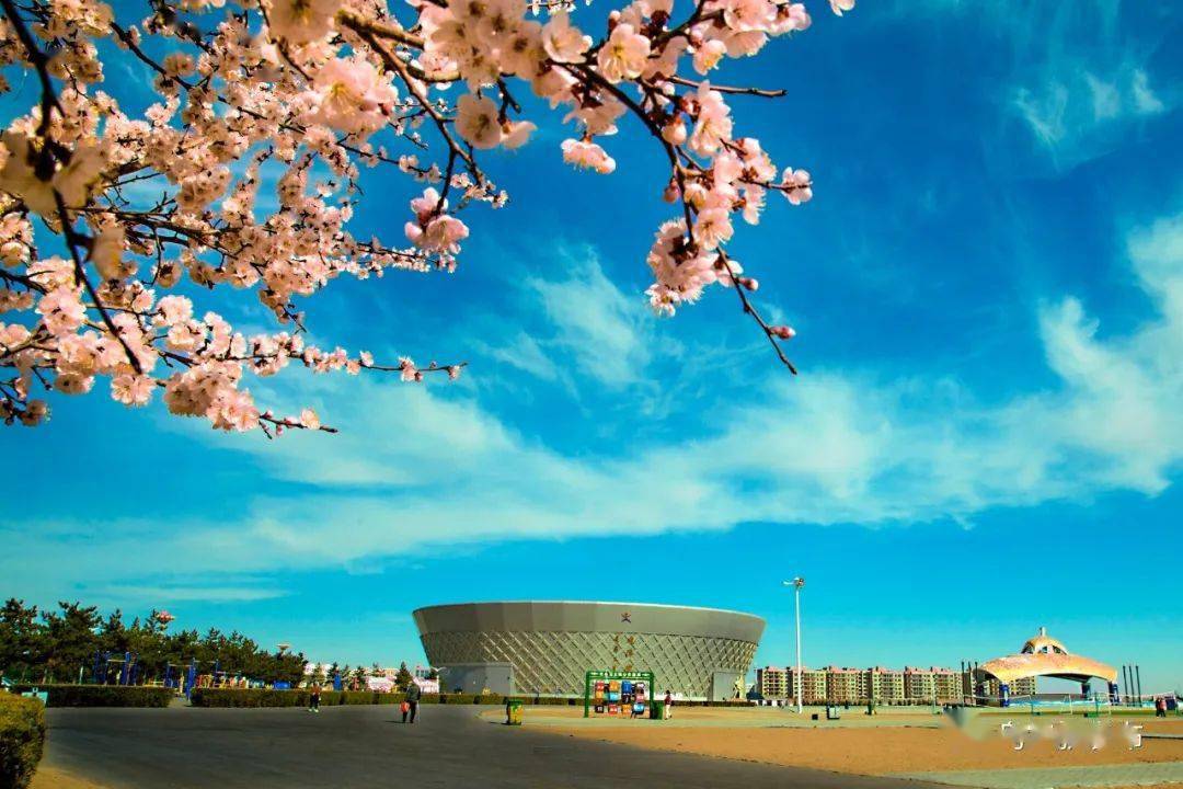 让城市因你更美好 让你因城市更文明——乌审旗创建全国县级文明城市