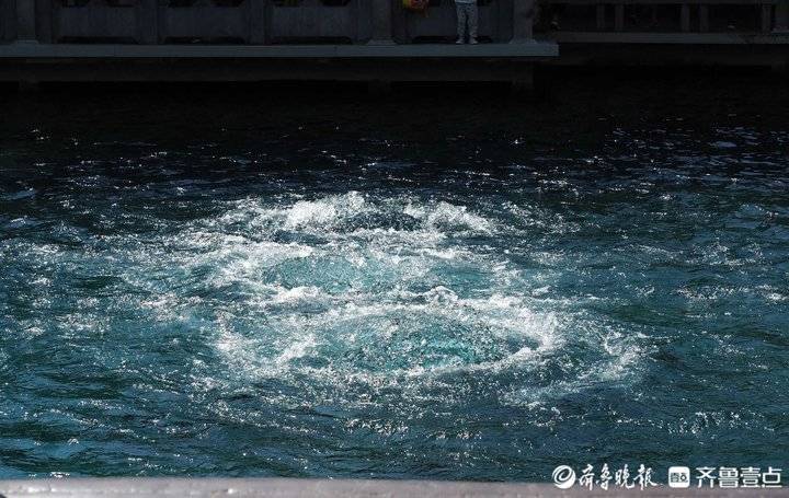 济南泉域水位大涨，单日流量高达5.24万吨