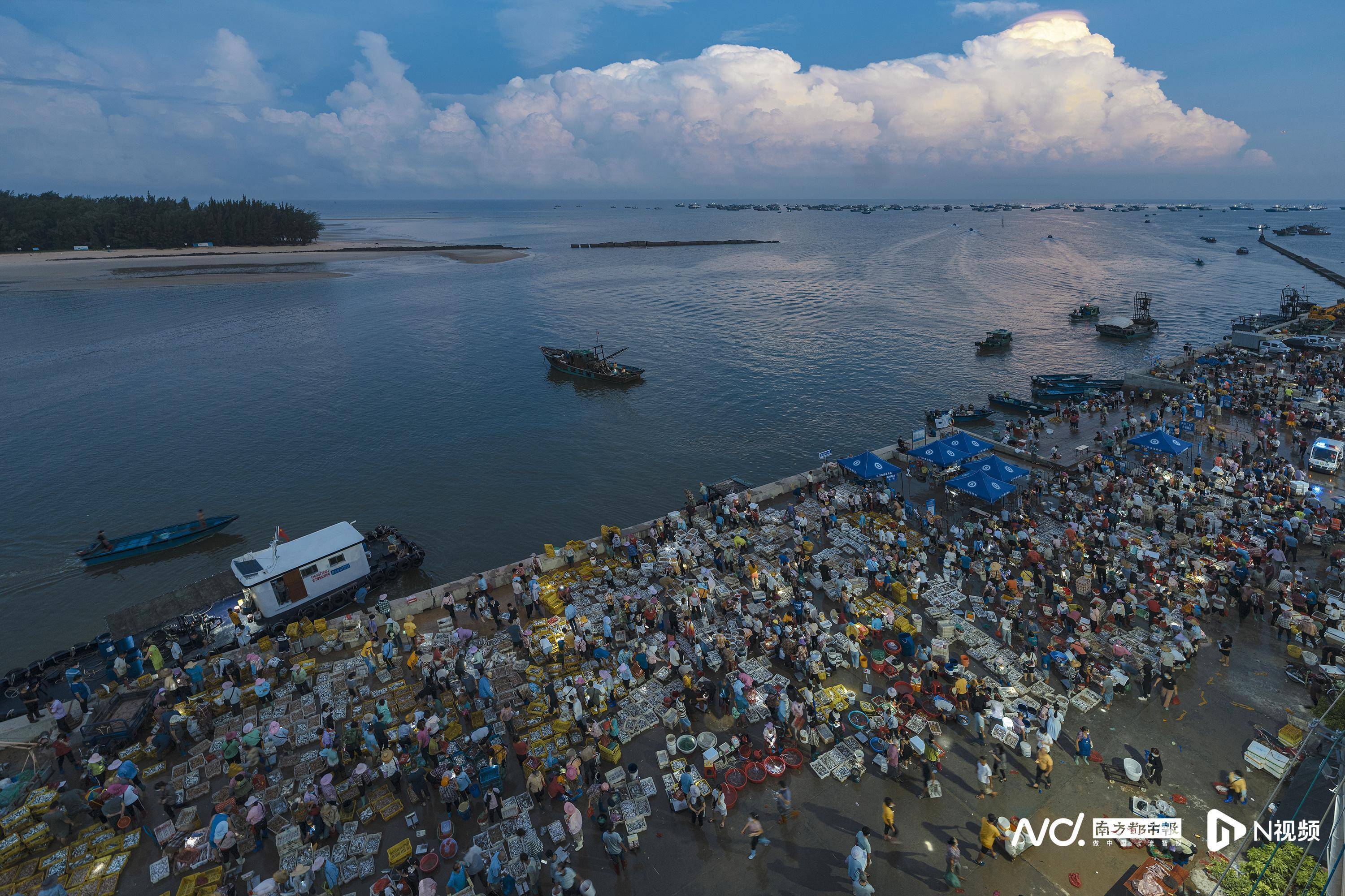 实拍:粤西湛江小渔港"天光鱼市",开渔后首批海鲜上岸_南都_方雄_渔获