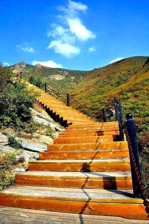 小井沟大青山国家登山健身步道步道位于呼和浩特市新城区东北部的大