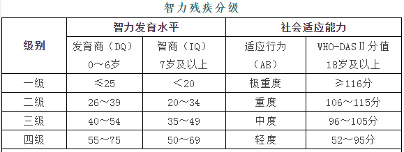 残疾人残疾分类和分级