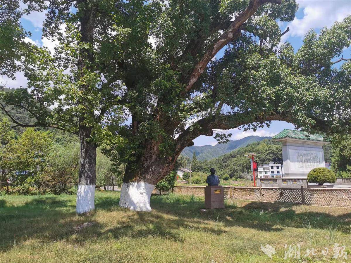 湘赣省委所在地,著名的"三湾改编"发生地——永新县三湾乡三湾村,参观