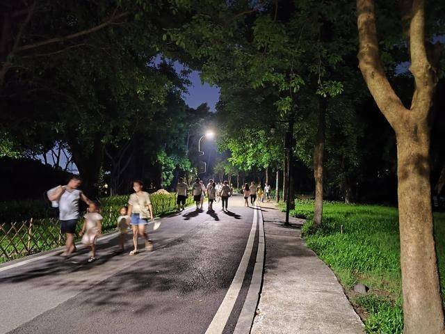 广州夜游好去处，这个中央大公园你可别错过，他消暑一夏