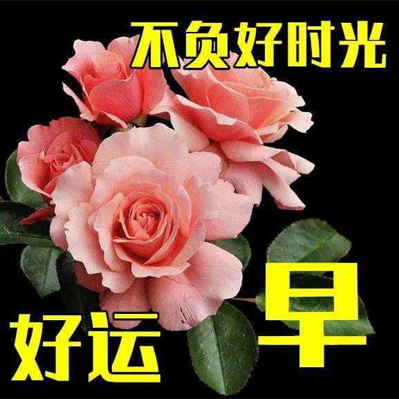 8月19日秋天早上好动态表情图片及早晨好动图美图大全 问候 亲朋好友 芬芳