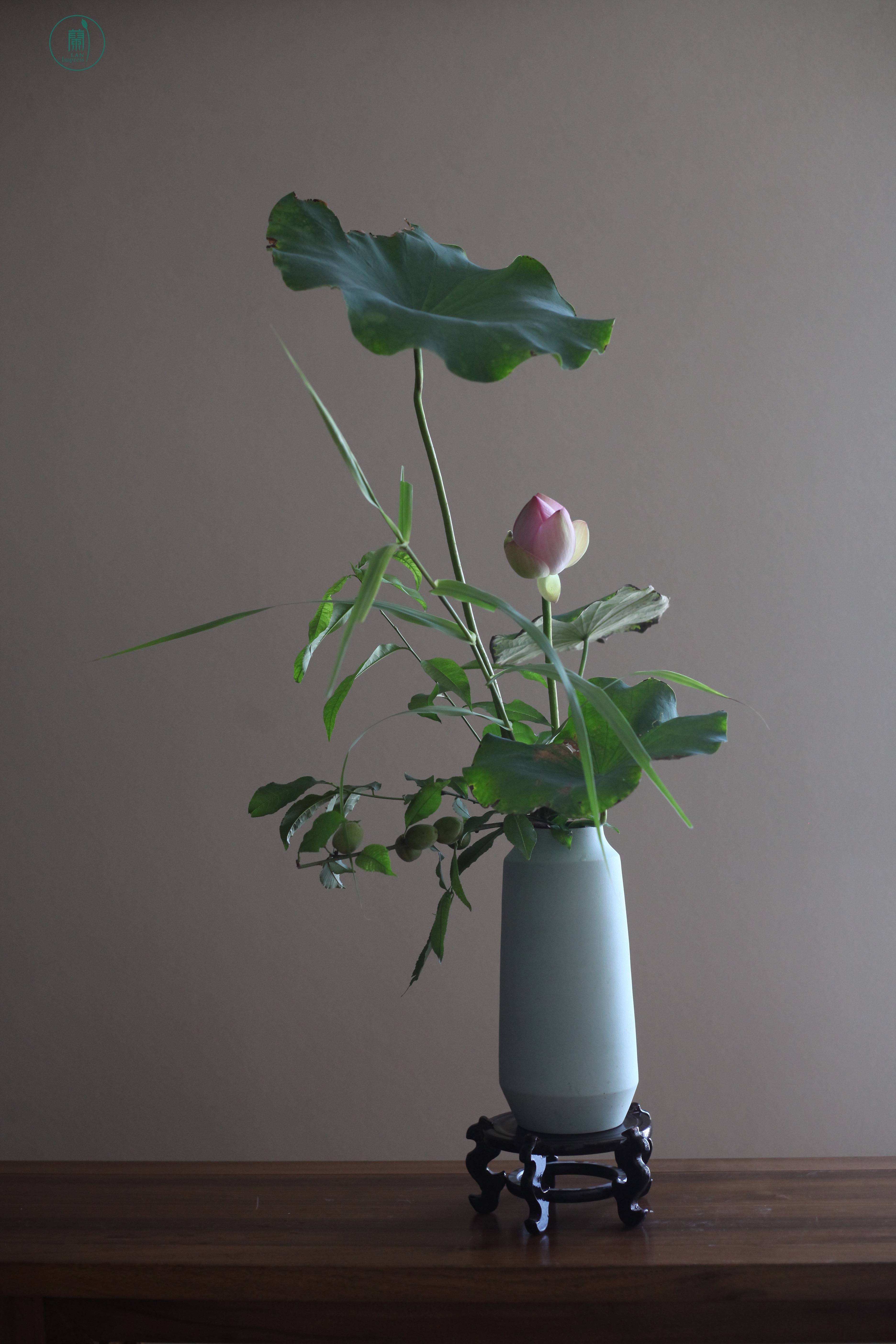 西安插花培训|蘭印象小原流花道教室#花道课