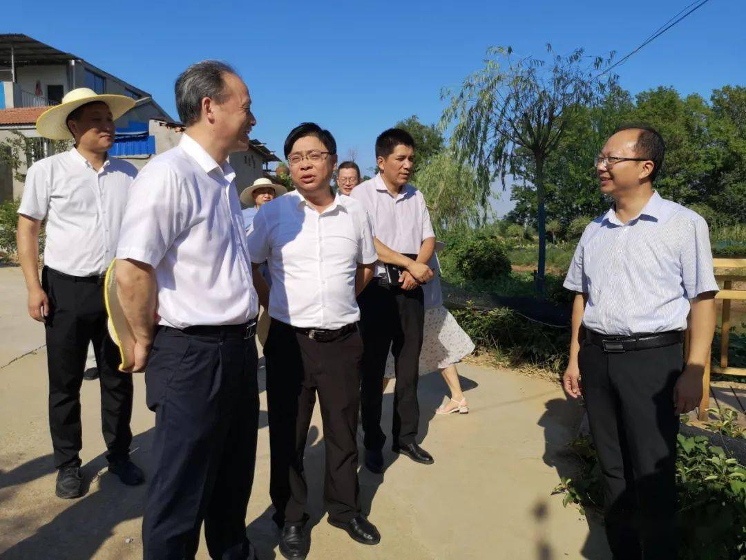 组长,省委宣传部讲师团主任高天琼一行来云梦调研指导党员干部"下基层