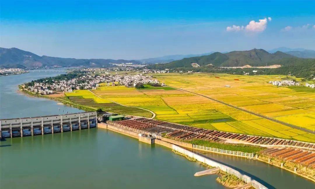 看看东源如何打好三农"组合拳",擘画乡村振兴新图景!_农业_东江_发展