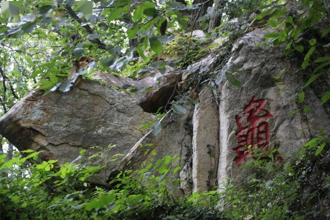 连云港花果山风景区《港城365》微信