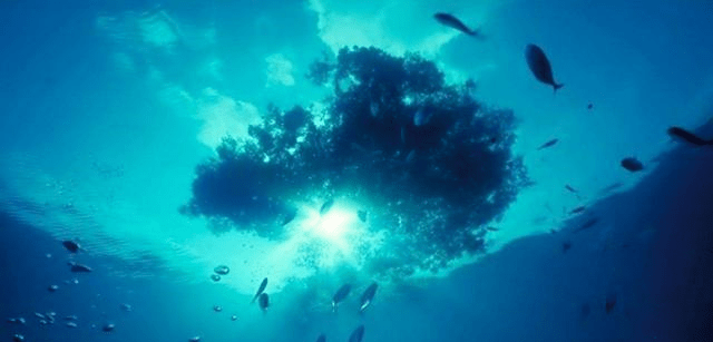 原创“海上坟地”：透明度高达72米，也没浮游生物，为何船不敢靠近？