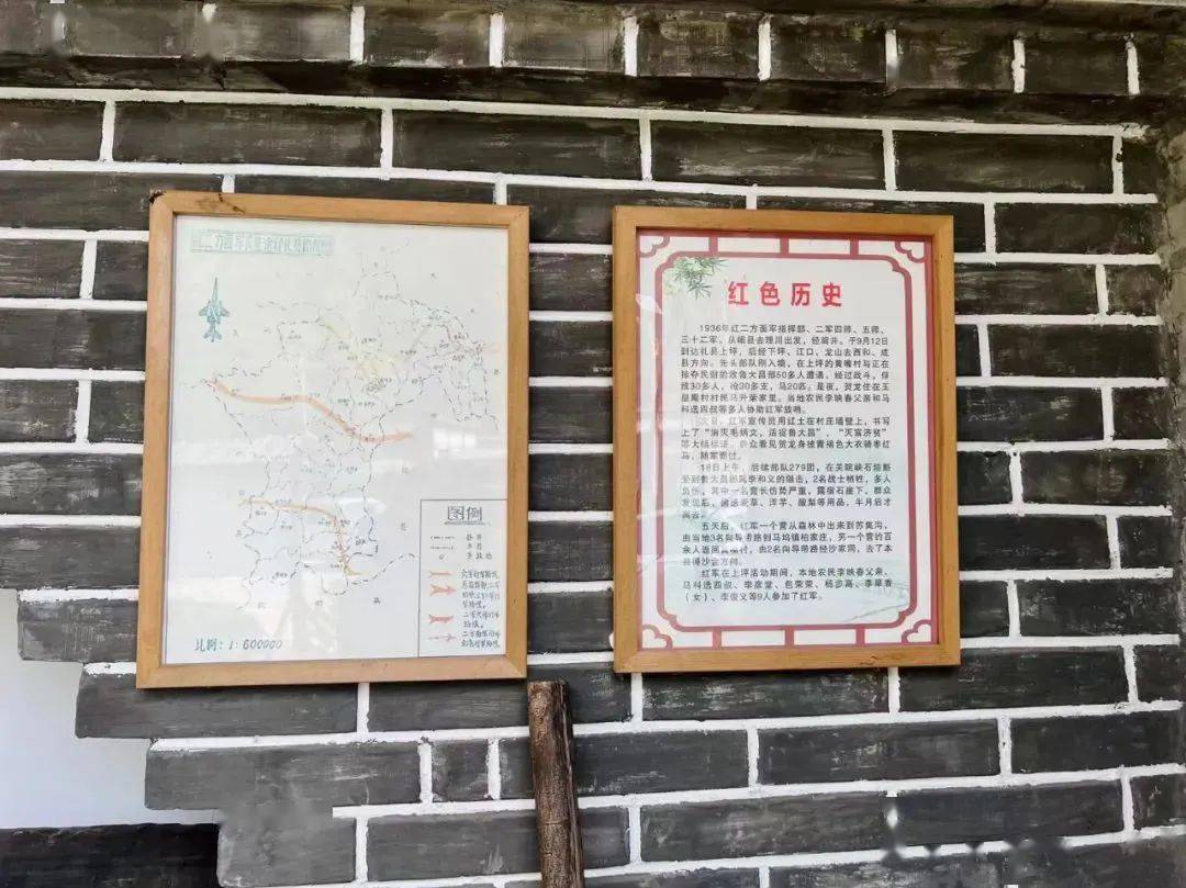 礼县青林村案件图片