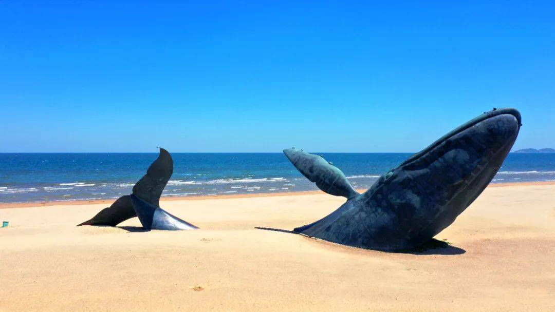 行至金沙滩,可以近观鲸落巨型雕像,远晀碧海蓝天的壮丽盛景.
