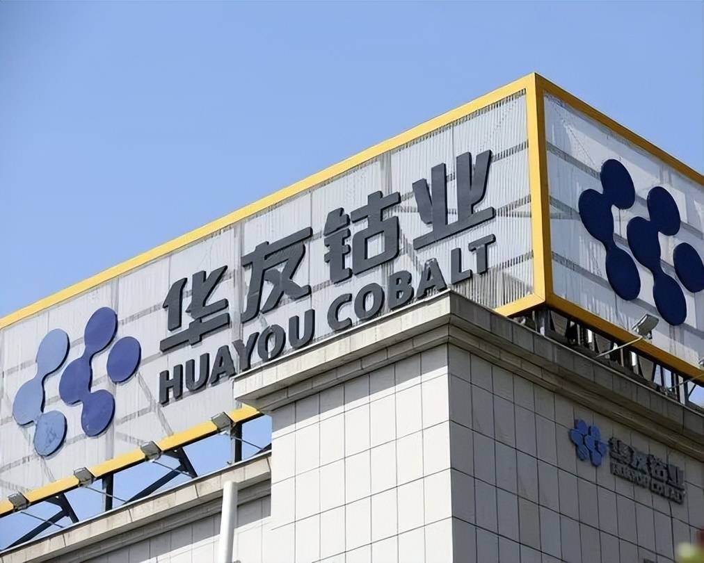 华友钴业:上半年营收至310.18亿元,同比上升117.01%_公司_项目_金属量
