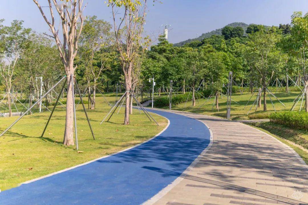 深圳这22条绿道,真的美_美景_山水_公园