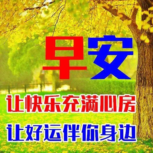 8月22日最新早上好祝福动态表情图片大全，早上好问候语句子！ 秋雨享 秋花 秋果