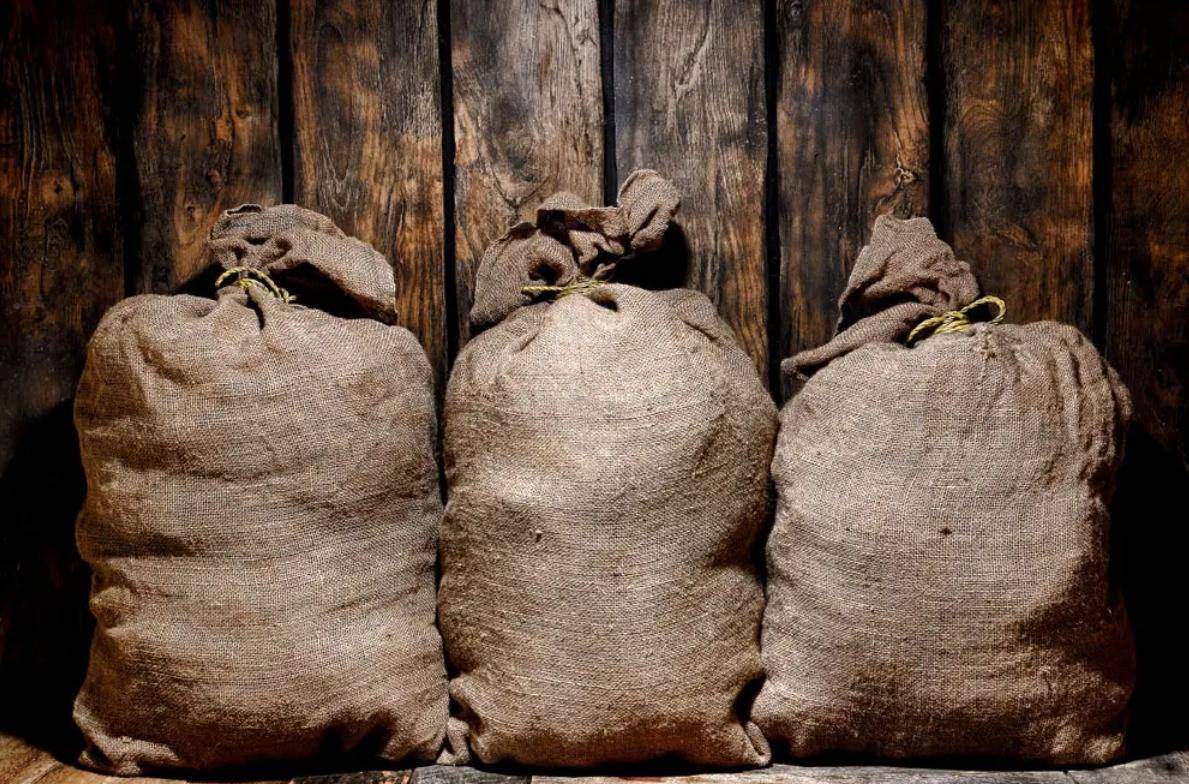 黄麻:在我国是没人种的杂草,在印度却价值33亿被当成宝_种植_纤维丝