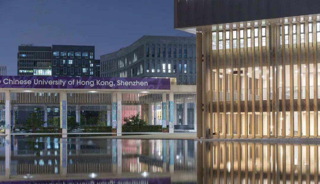 合作_中国_专业