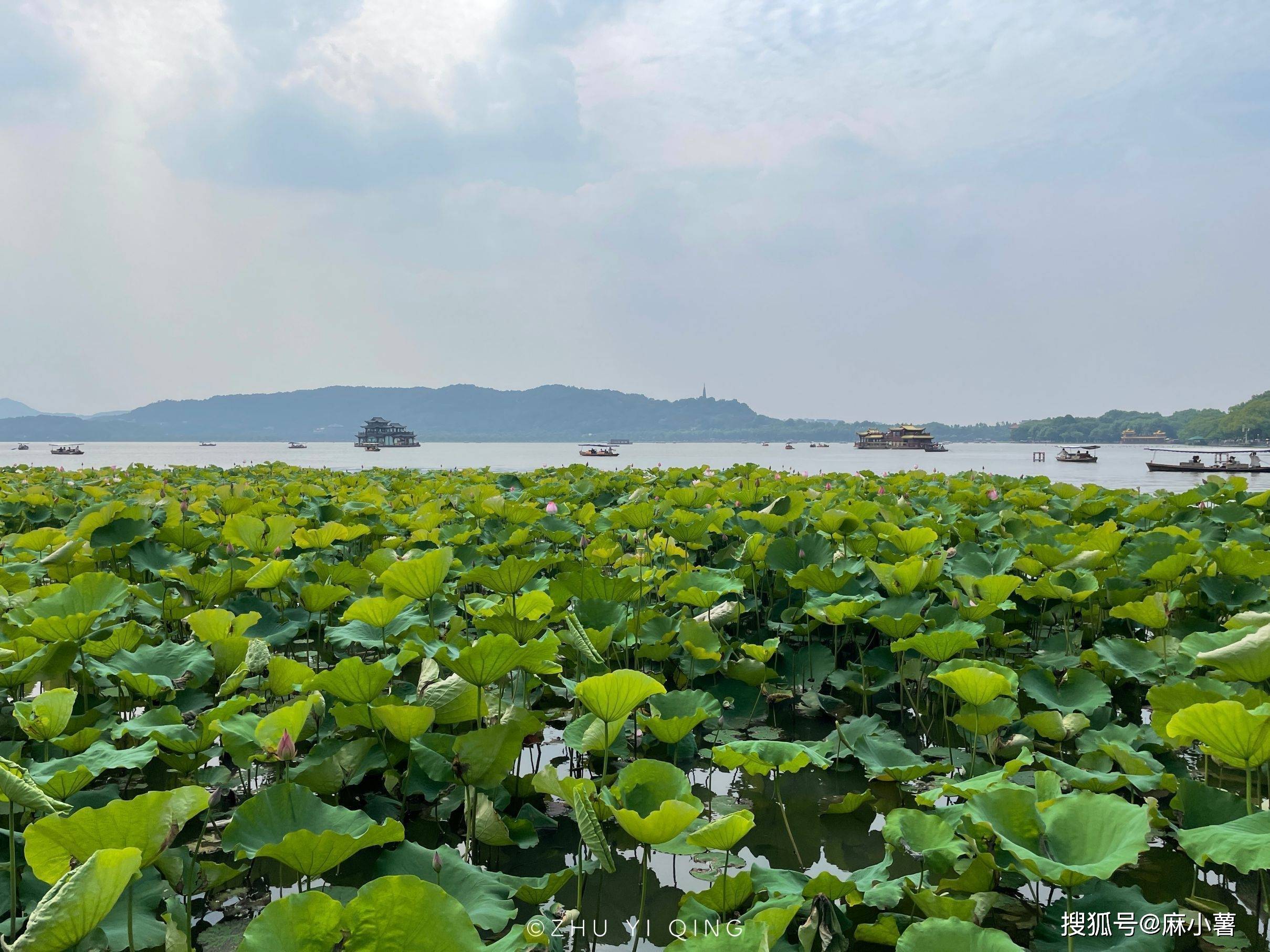 杭州西湖，一座极为接地气的5A景区，40度高温下依旧人山人海