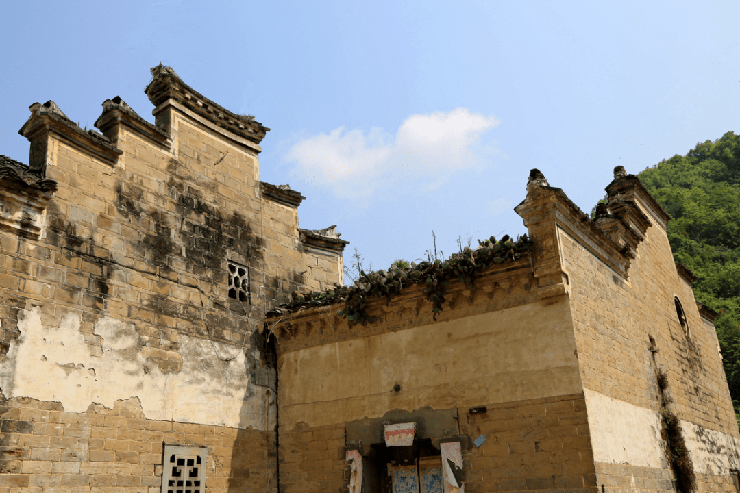 气势恢宏从外观上看后面有花园,竹林两边为道路,绿化带房前为大院现