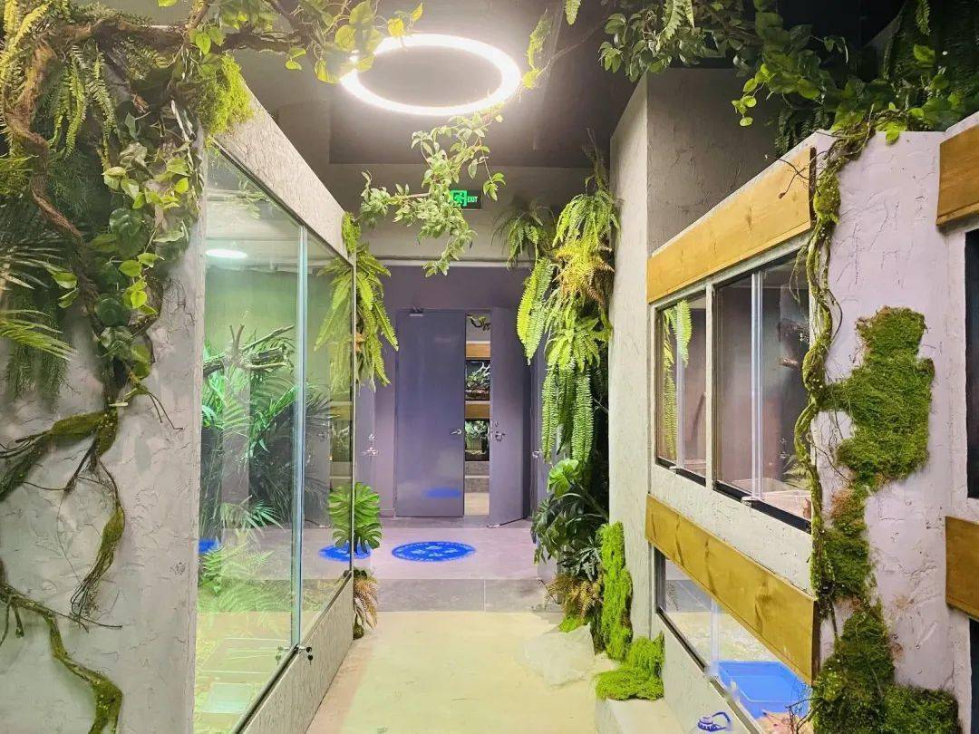 而是集合了自然与艺术的元素,不是一家简单的宠物店,注意哦,上生屿宙