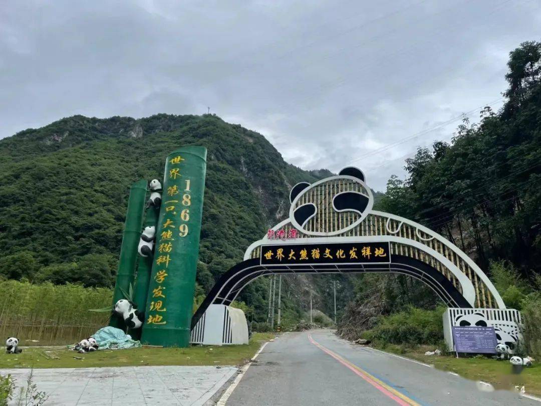 我是四川的,四川雅安的_熊猫_天全县_宝兴