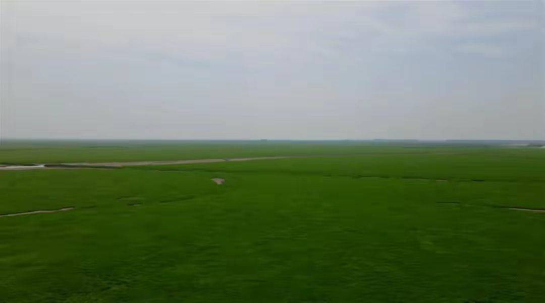 鄱阳湖和洞庭湖现已变成大草原，为何今年这么旱？明年还会这样吗