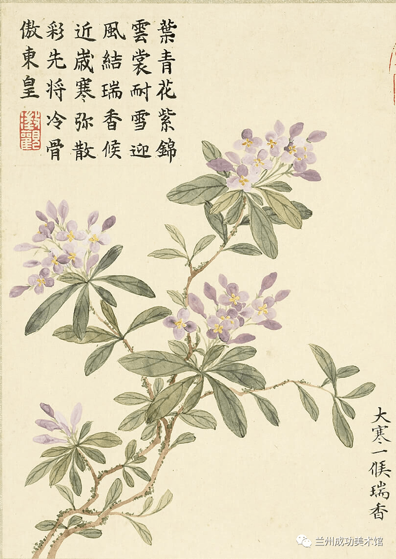 诗画阅微】董诰的《二十四番花信风图》_明一候_书画_宣传