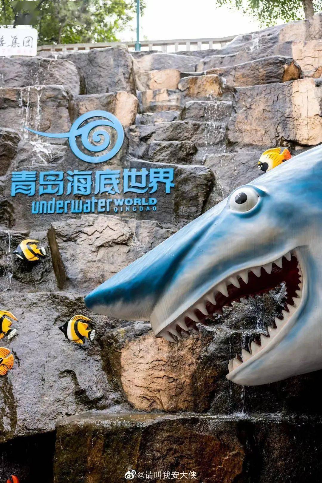 青岛_海底世界_微博