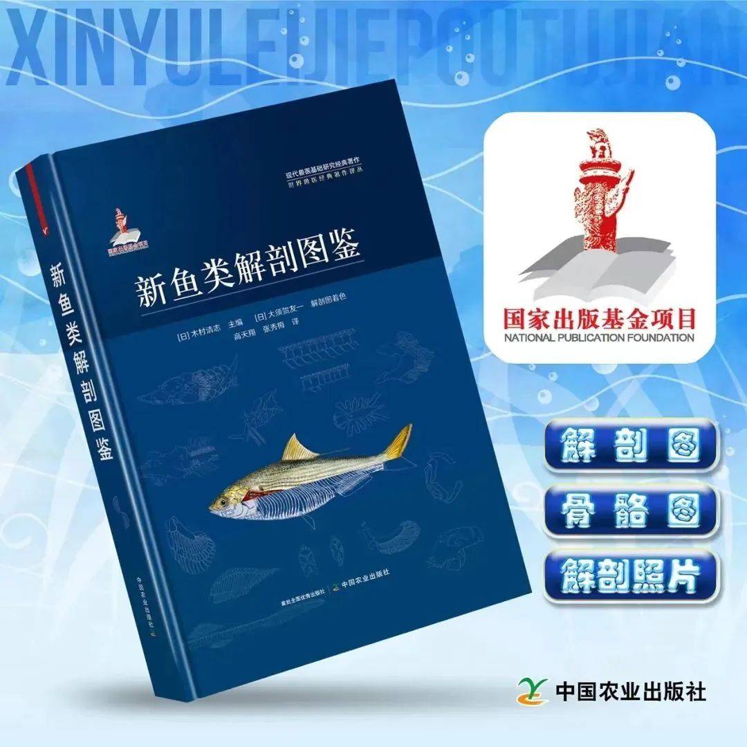 100幅彩插、310幅彩色解剖照片！《新鱼类解剖图鉴》你值得拥有！_搜狐网