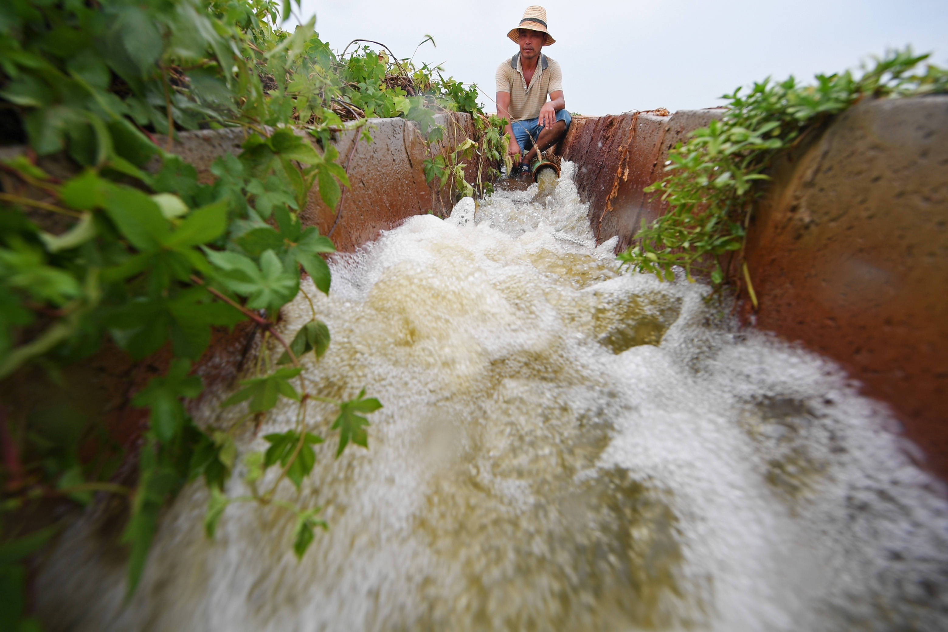 南方持续高温少雨 多地统筹推进抗旱稳产_灌溉_用水_罗化田