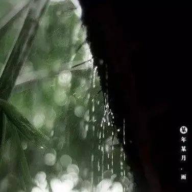 听雨的况味_千年_台风_同学