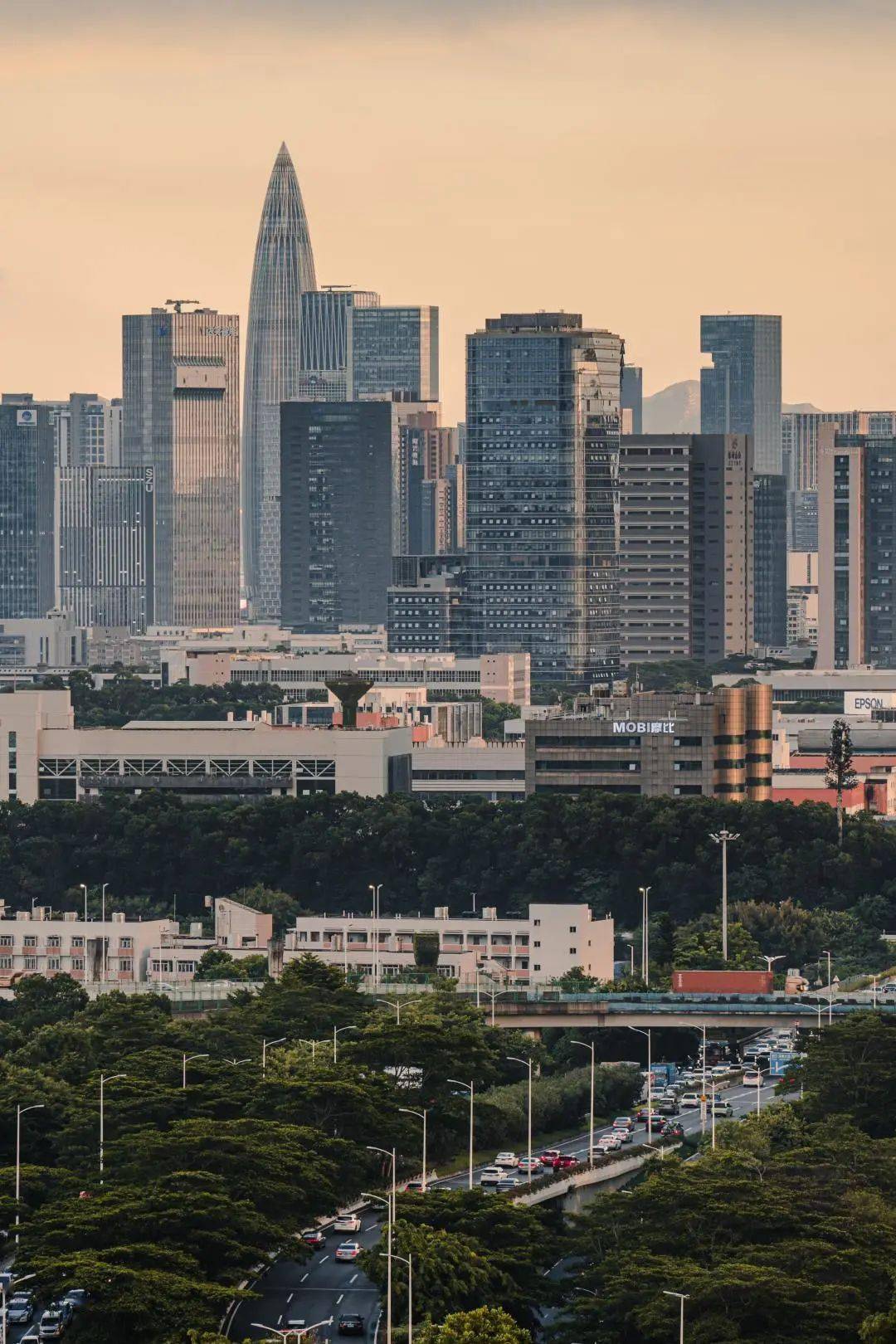 有沒有人告訴你,我很愛你_深圳經濟特區_城市_文化