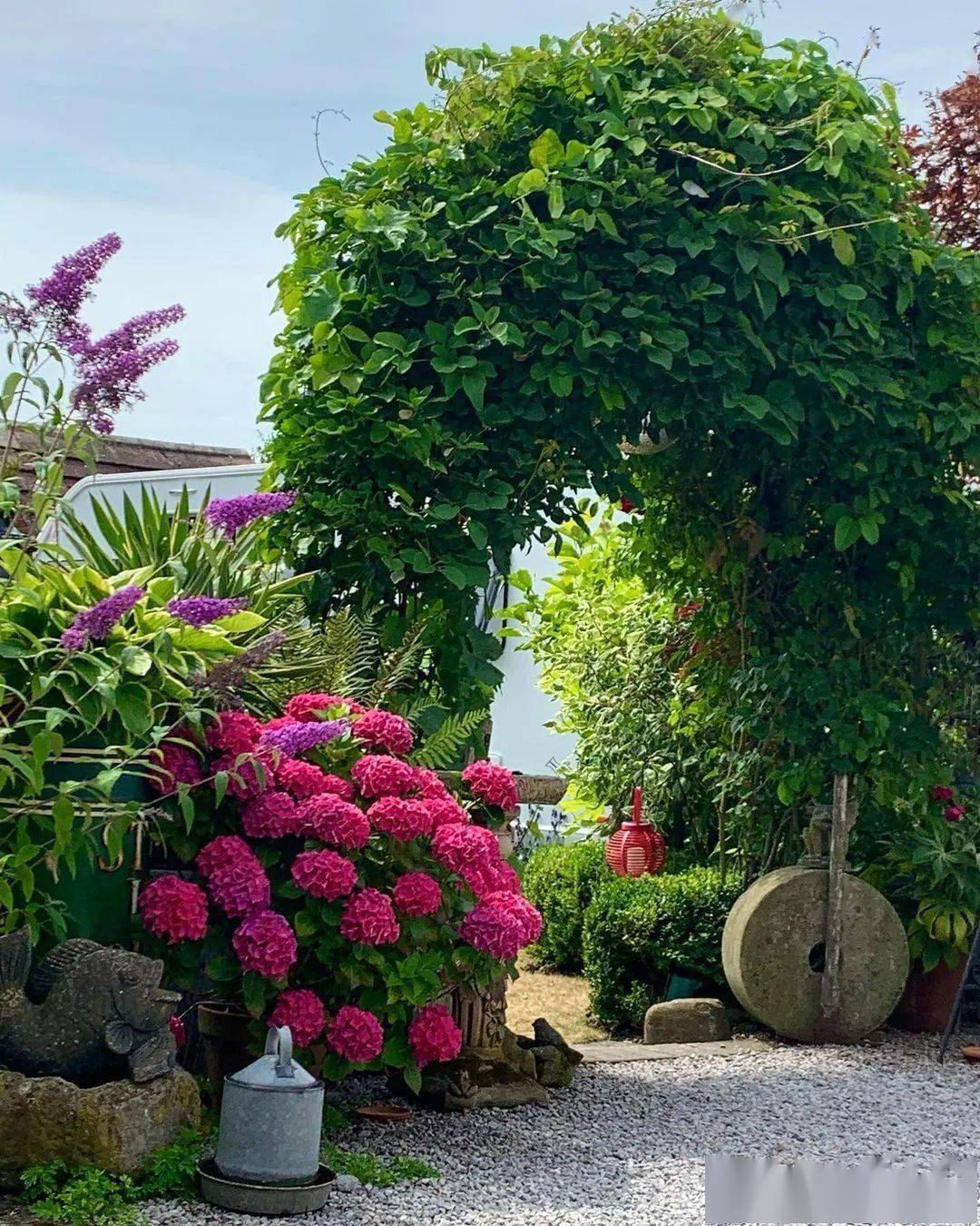 容器花园 是一个可以到处摆放和移动的绿色空间 栽培 植物 管理